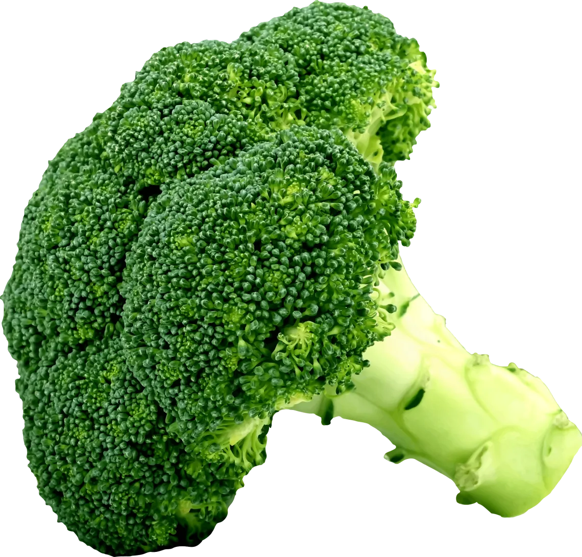 broccoli-eurogreen-etna-ortaggi broccoli-eurogreen-etna-ortaggi