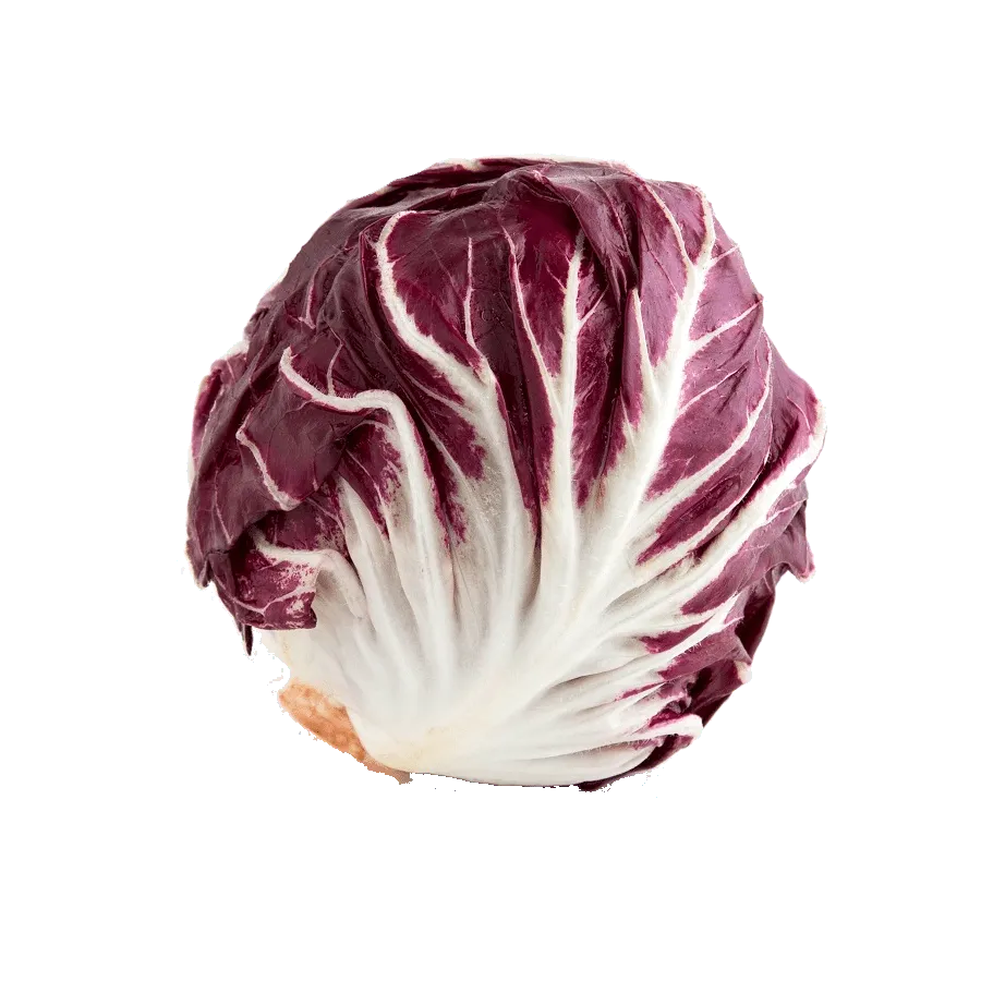 radicchio-di-chioggia-eurogreen-etna-ortaggi radicchio-di-chioggia-eurogreen-etna-ortaggi