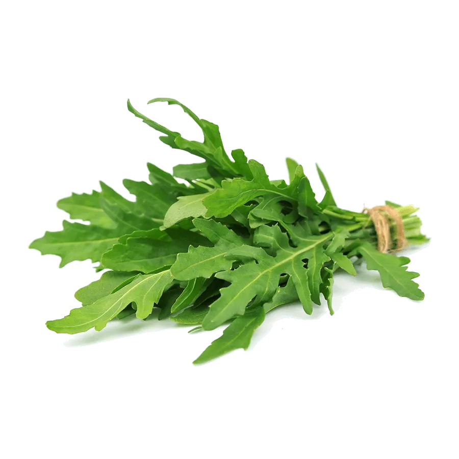 rucola-eurogreen-etna-ortaggi rucola-eurogreen-etna-ortaggi