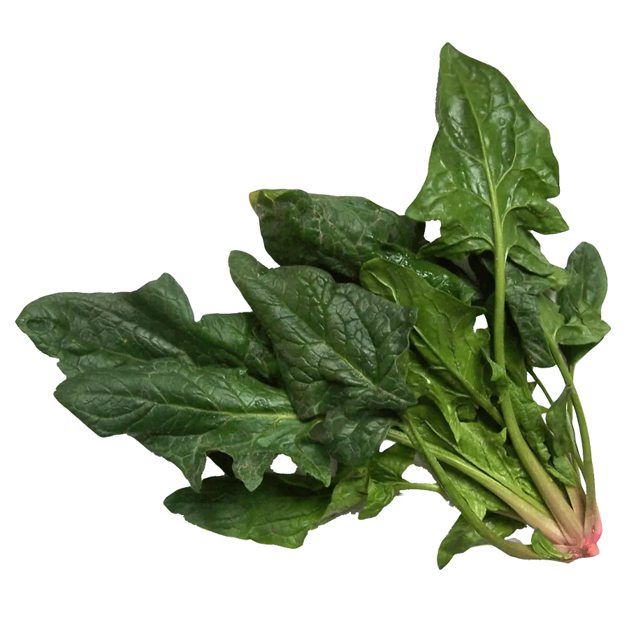 spinaci-eurogreen-etna-ortaggi spinaci-eurogreen-etna-ortaggi